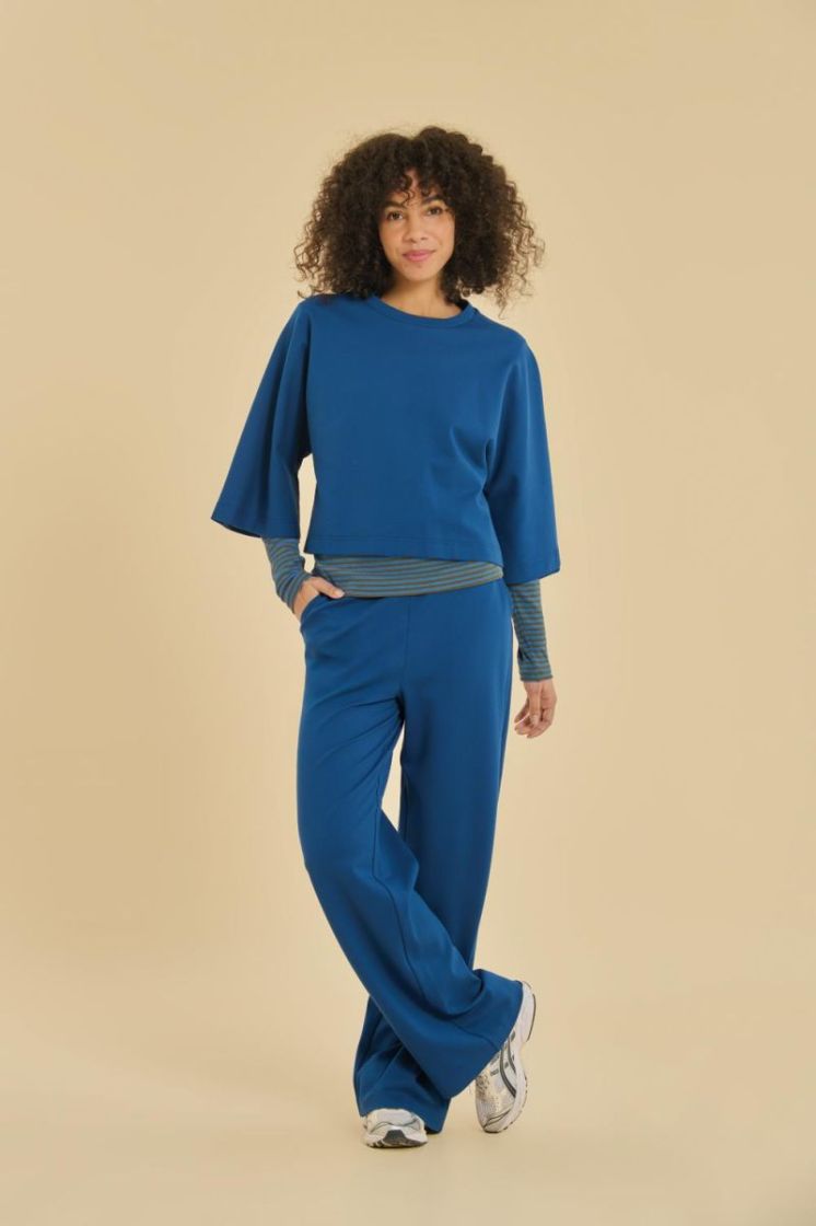 62VIN10.219-COBALT KOBALTBLAUW
