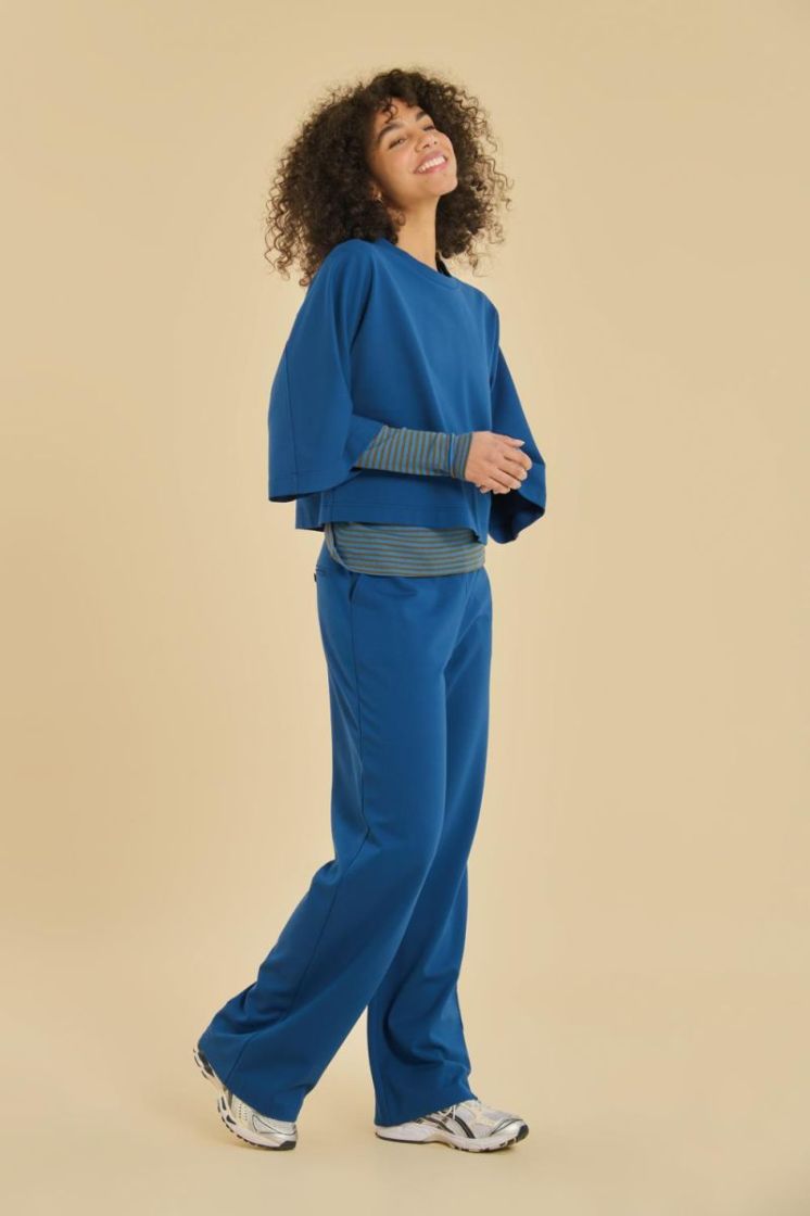 62VIN10.219-COBALT KOBALTBLAUW