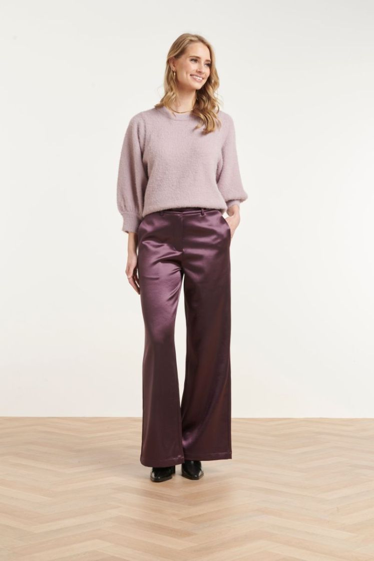 490-AUBERGINE prune