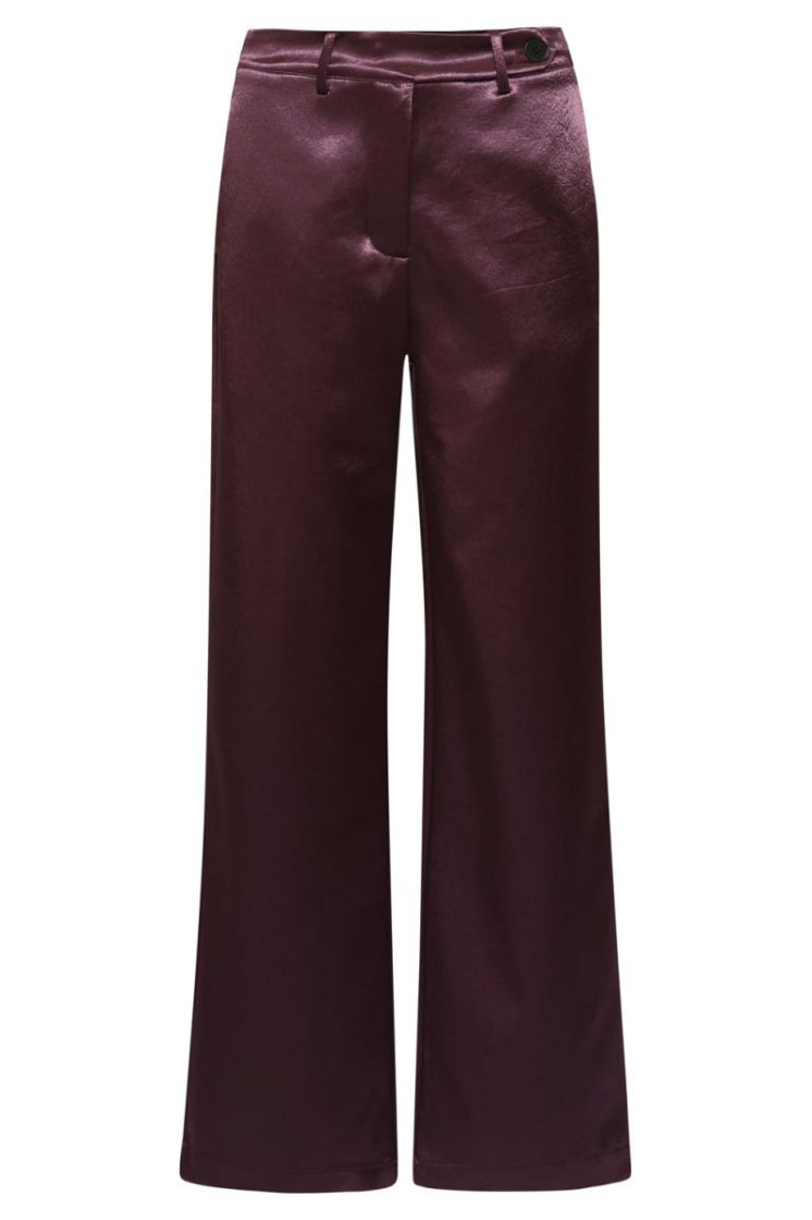 490-AUBERGINE prune