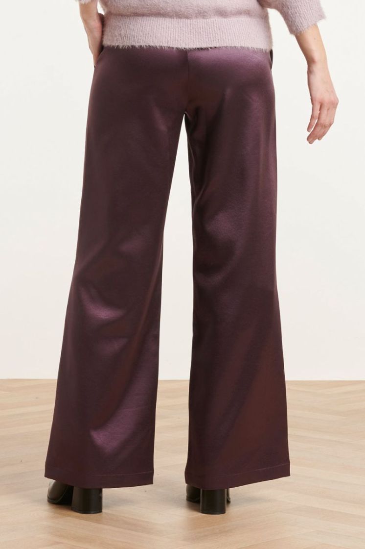 490-AUBERGINE prune