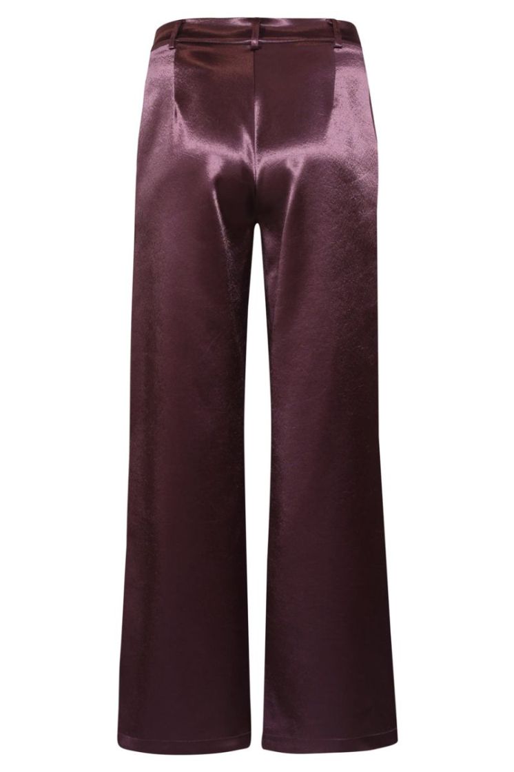 490-AUBERGINE prune